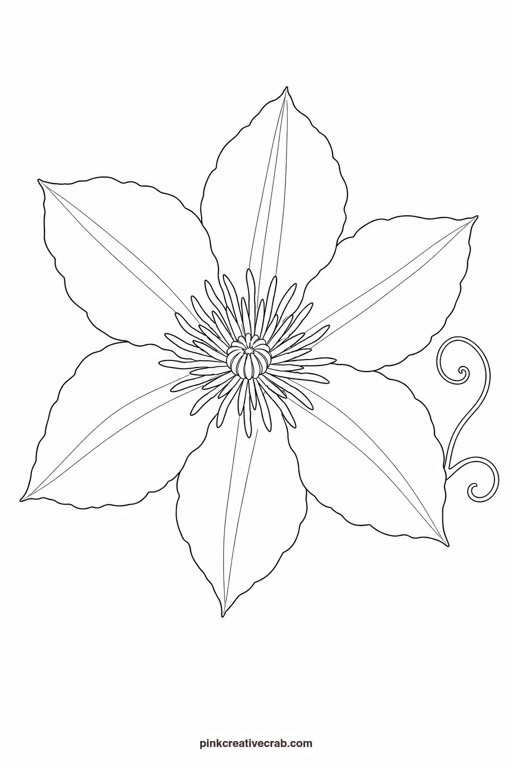 Purple Clematis Outline printable page. Purple watercolor flowers