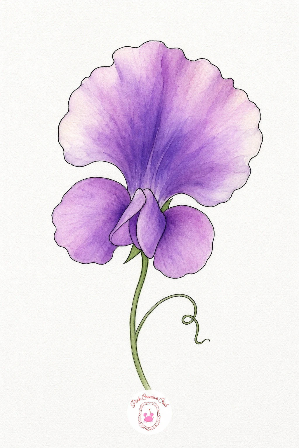 Sweet Pea — Paint the large upper petal first with a wet wash of violet, dropping in a touch more water near the ruffled edge so the color fades out softly