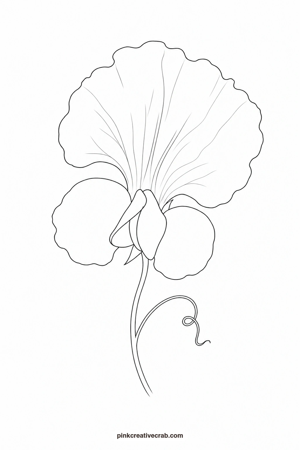 Sweet Pea Outline printable page. Purple watercolor flowers