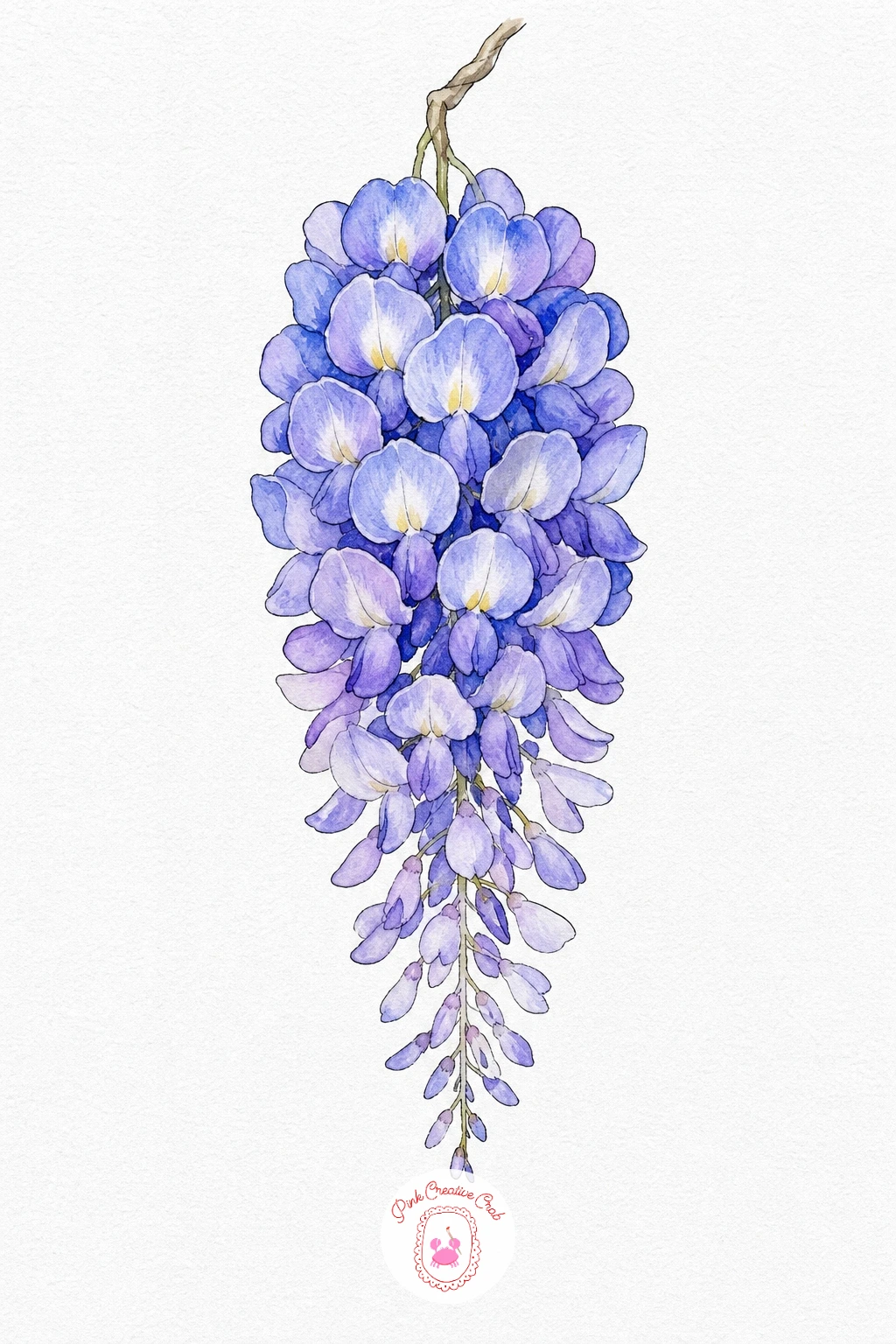 Wisteria Cluster Drawn Large — Turn the paper so the cluster hangs downward and wet the whole cone shape, then drop violet in heavier at the top and let it