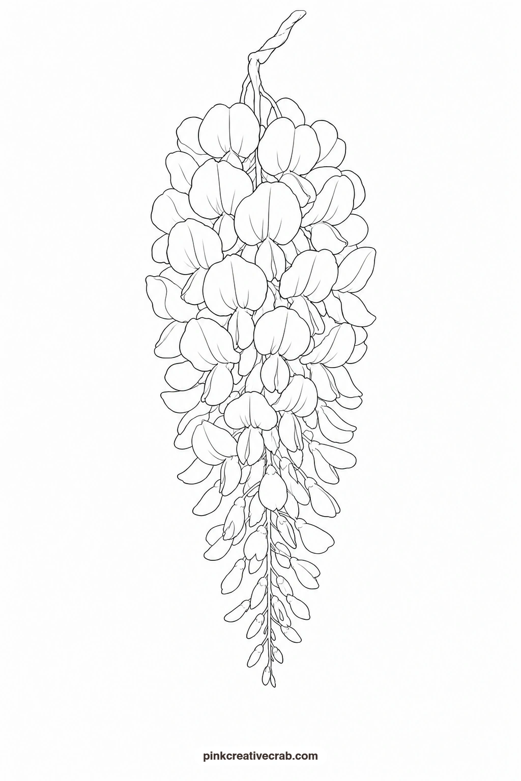 Wisteria Cluster Drawn Large Outline printable page. Purple watercolor flowers