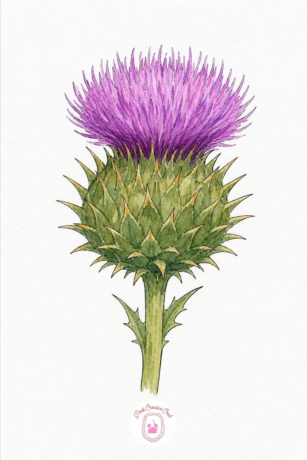 Thistle — Paint the green bulb base first with a flat olive wash, and once dry, use the tip of a fine brush to pull short outward strokes for the spiky bracts