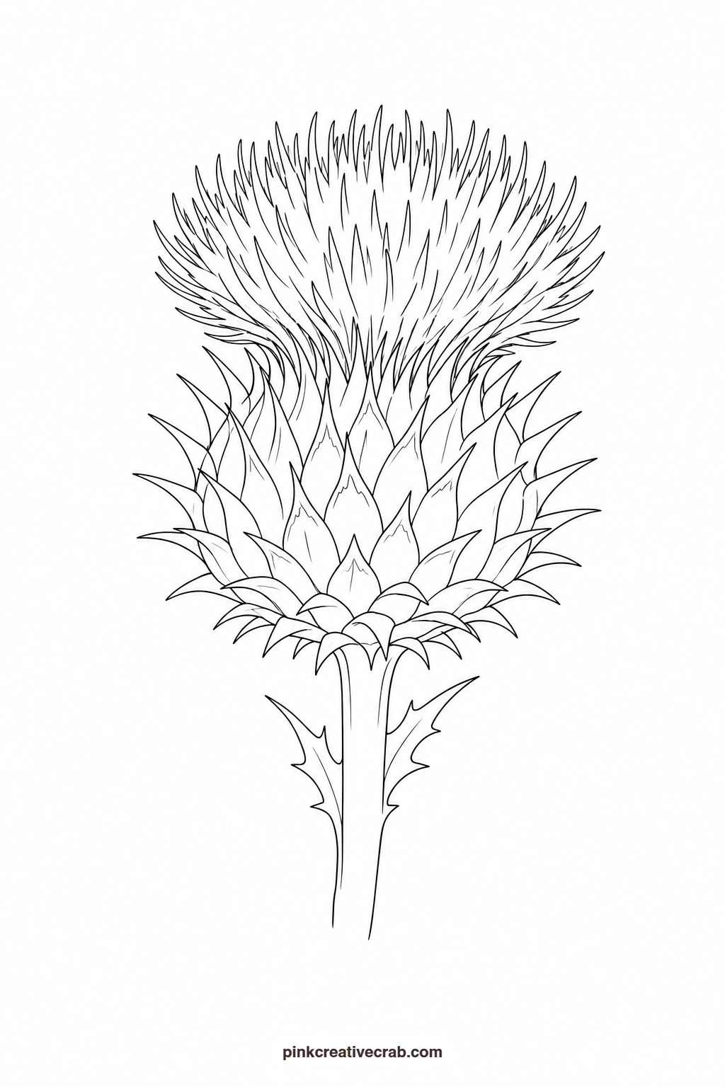 Thistle Outline printable page. Purple watercolor flowers