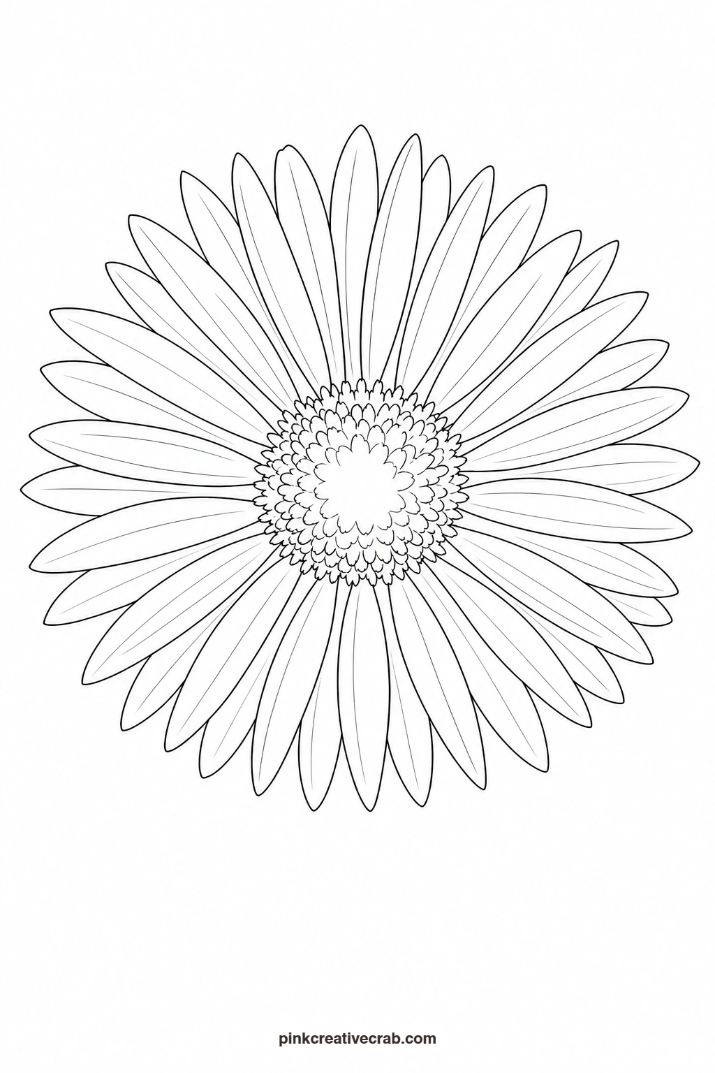Purple Aster Outline printable page. Purple watercolor flowers