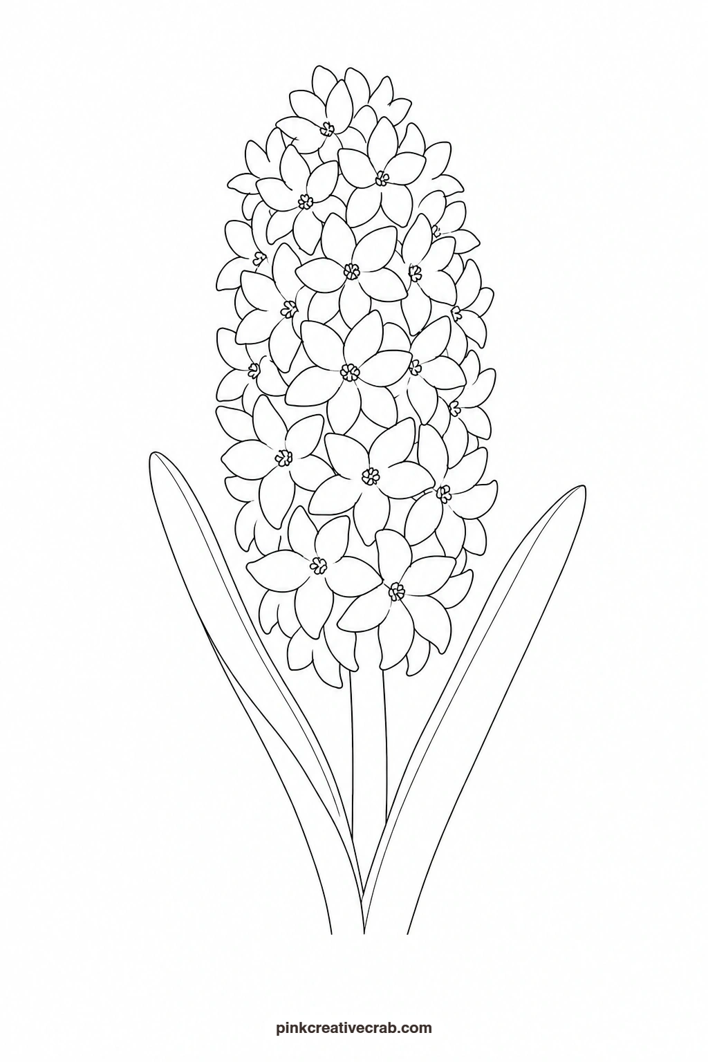 Hyacinth Outline printable page. Purple watercolor flowers