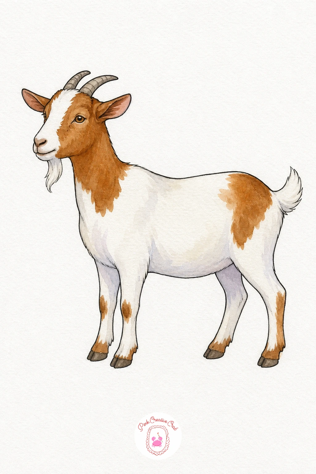 Goat — Leave the body mostly white, painting only soft grey shadows where the legs meet the belly and under the chin. Watercolor farm animals
