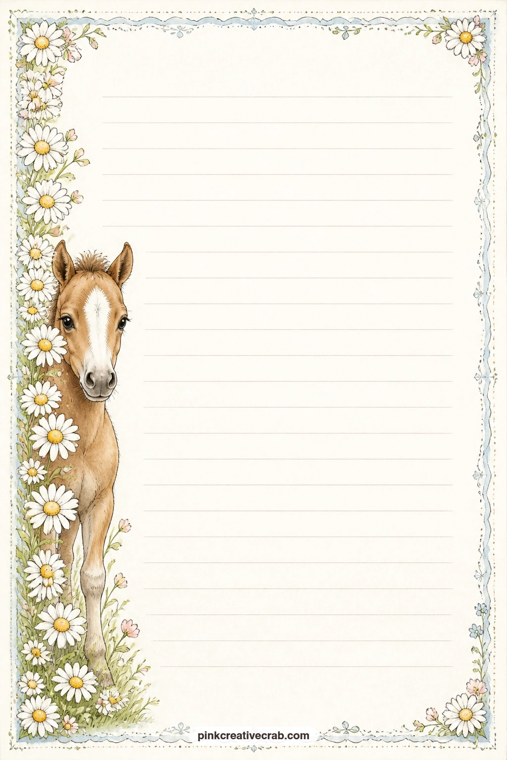 Foal And Daisy Chain Lined Page printable page — This page suits a note to a granddaughter who loves horses, a short wish for the new foal, or a simple list of