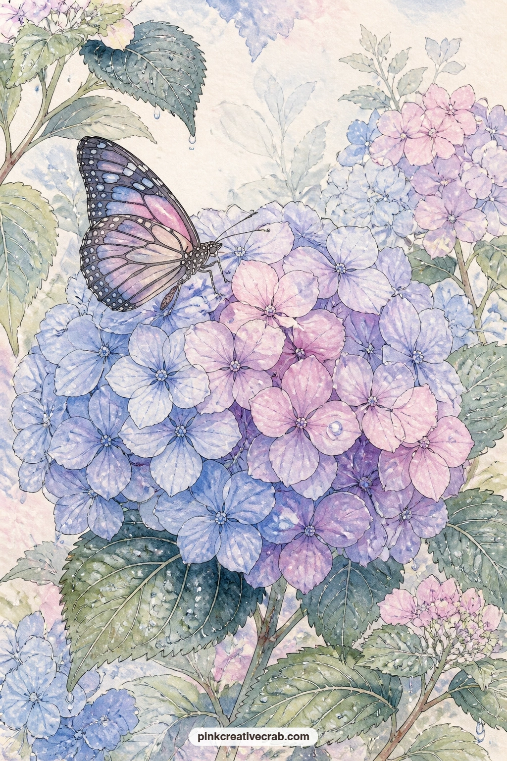 Butterfly On A Mophead Bloom printable page — A butterfly rests on a full mophead hydrangea bloom in soft morning light, with dew still visible on a few nearby