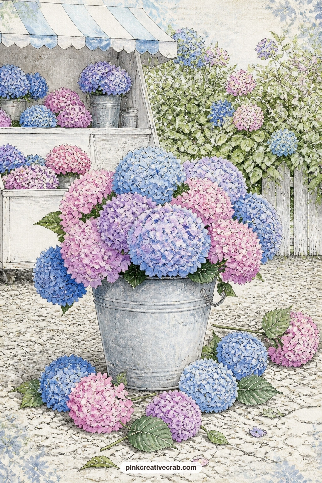 Flower Stand Bucket On Gravel printable page — A galvanized bucket crowded with hydrangea stems sits at a small flower stand on a gravel drive, a wooden price