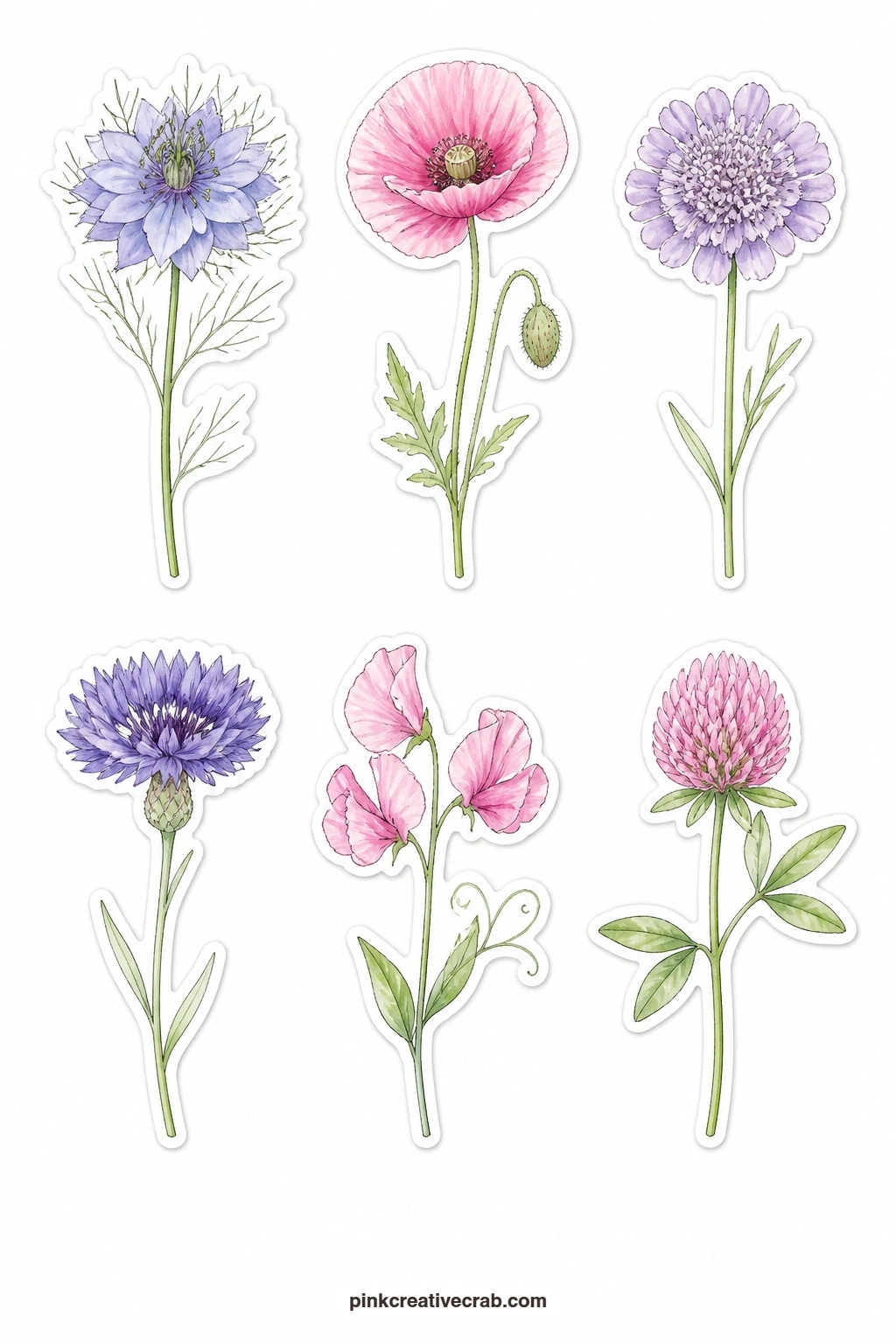 Pastel Wildflowers Stickers printable page — Scatter a nigella, a pink poppy, a scabious, a cornflower, a sweet pea and a clover flower loosely along the edge