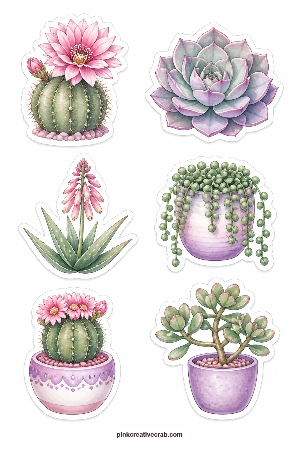 Flowering Succulents Stickers printable page — A flowering cactus, an echeveria, a pink aloe flower, a string of pearls plant, a cactus in a pot and a jade