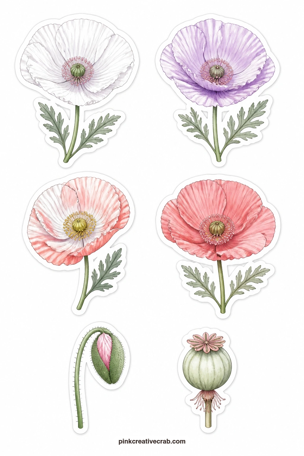 Pastel Poppies Stickers printable page — A white poppy, a lilac poppy, an Iceland poppy, a coral poppy, a poppy bud and a poppy seed head cover the poppy from