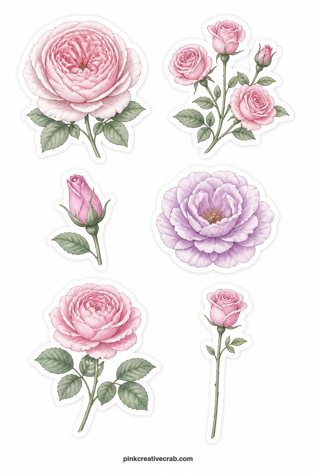 Modern Roses Stickers printable page — A garden rose, a spray rose, a rose bud, an open rose, a rose with leaves and a long rose stem give six stages and