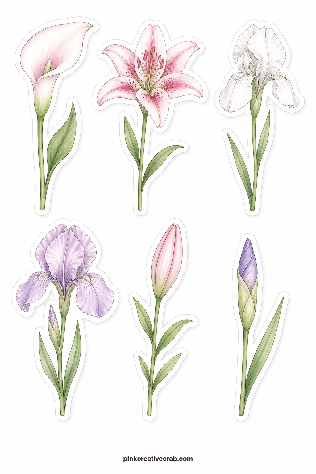 Pastel Lilies And Irises Stickers printable page — A calla lily, a pink lily, a white iris, a lilac iris, a lily bud and an iris bud close out the set with six
