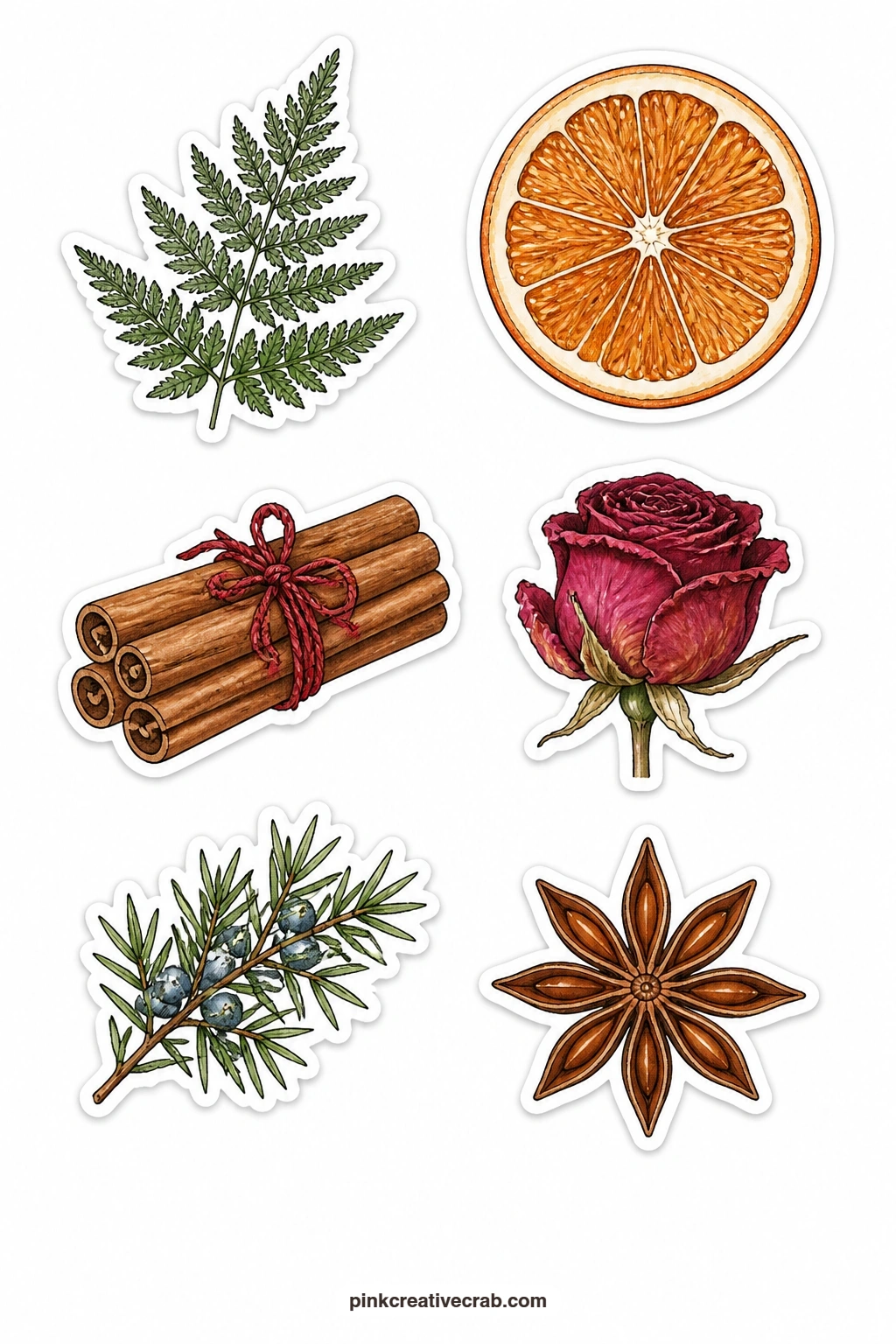 Dried Christmas Greenery Stickers printable page — A pressed fern, a dried orange slice, a cinnamon bundle, a dried rose, a sprig of juniper and a star anise