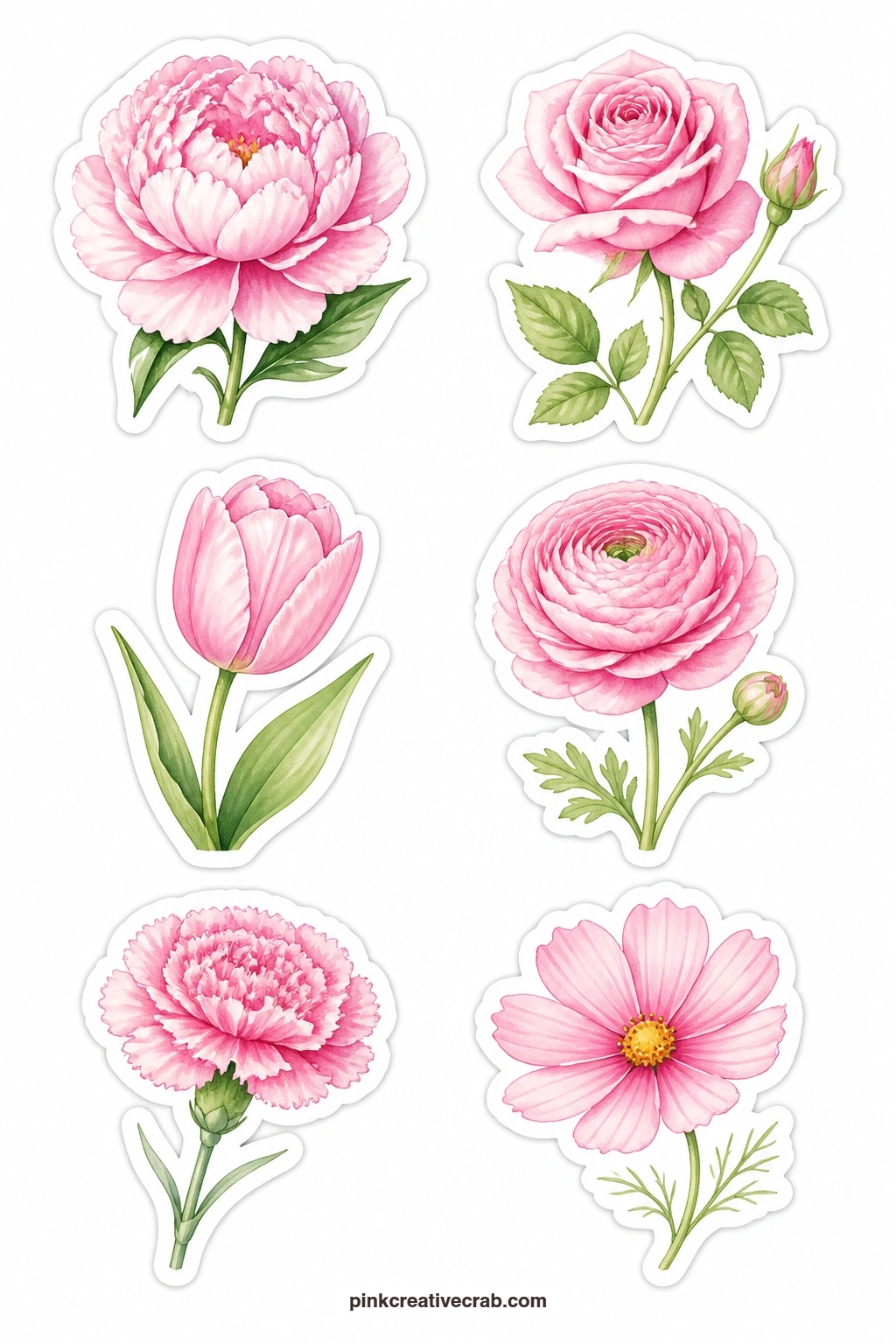Pink Flowers Stickers printable page — A pink peony, rose, tulip, ranunculus, carnation and cosmos give this sheet six full blooms for anyone who wants flowers