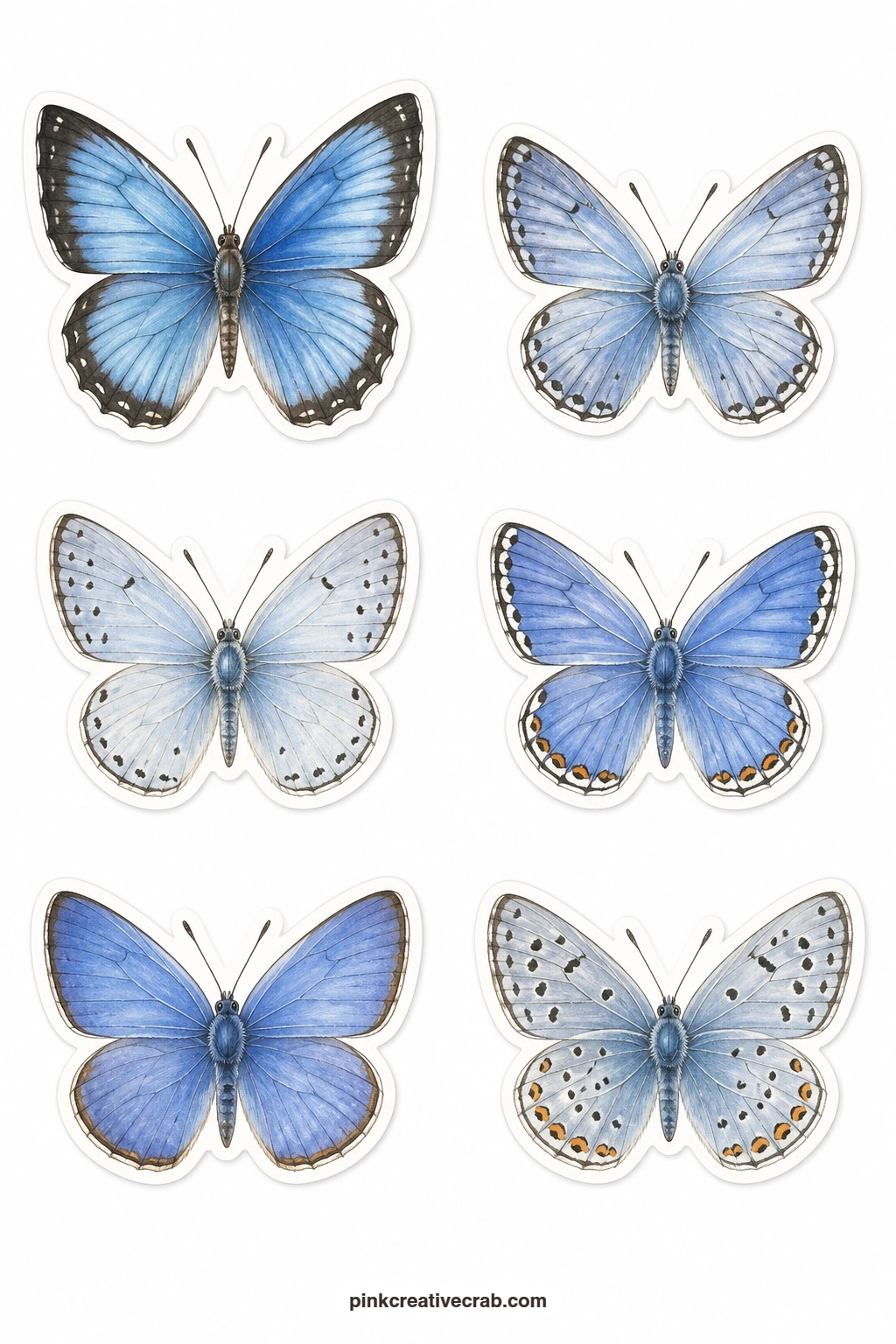 Blue Butterflies Stickers printable page — A morpho, a common blue, a holly blue, a Karner blue, an azure and a silver studded blue cover this sheet in every