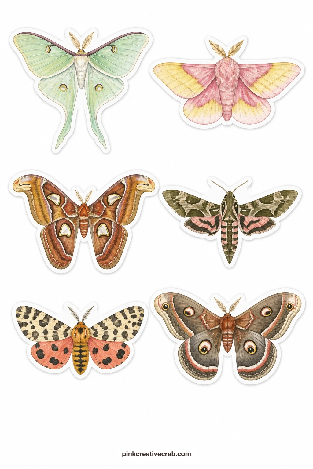 Moths Stickers printable page — Night wings get their turn here, with a luna moth, a rosy maple moth, an atlas moth, a hawk moth, a tiger moth and a cecropia