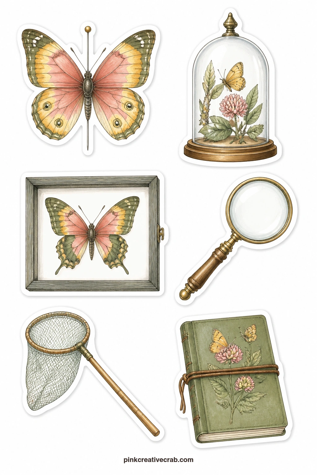 Specimen Box Stickers printable page — Six pieces from an imagined naturalist's desk sit on this sheet: a pinned butterfly, a glass dome, a specimen frame, a