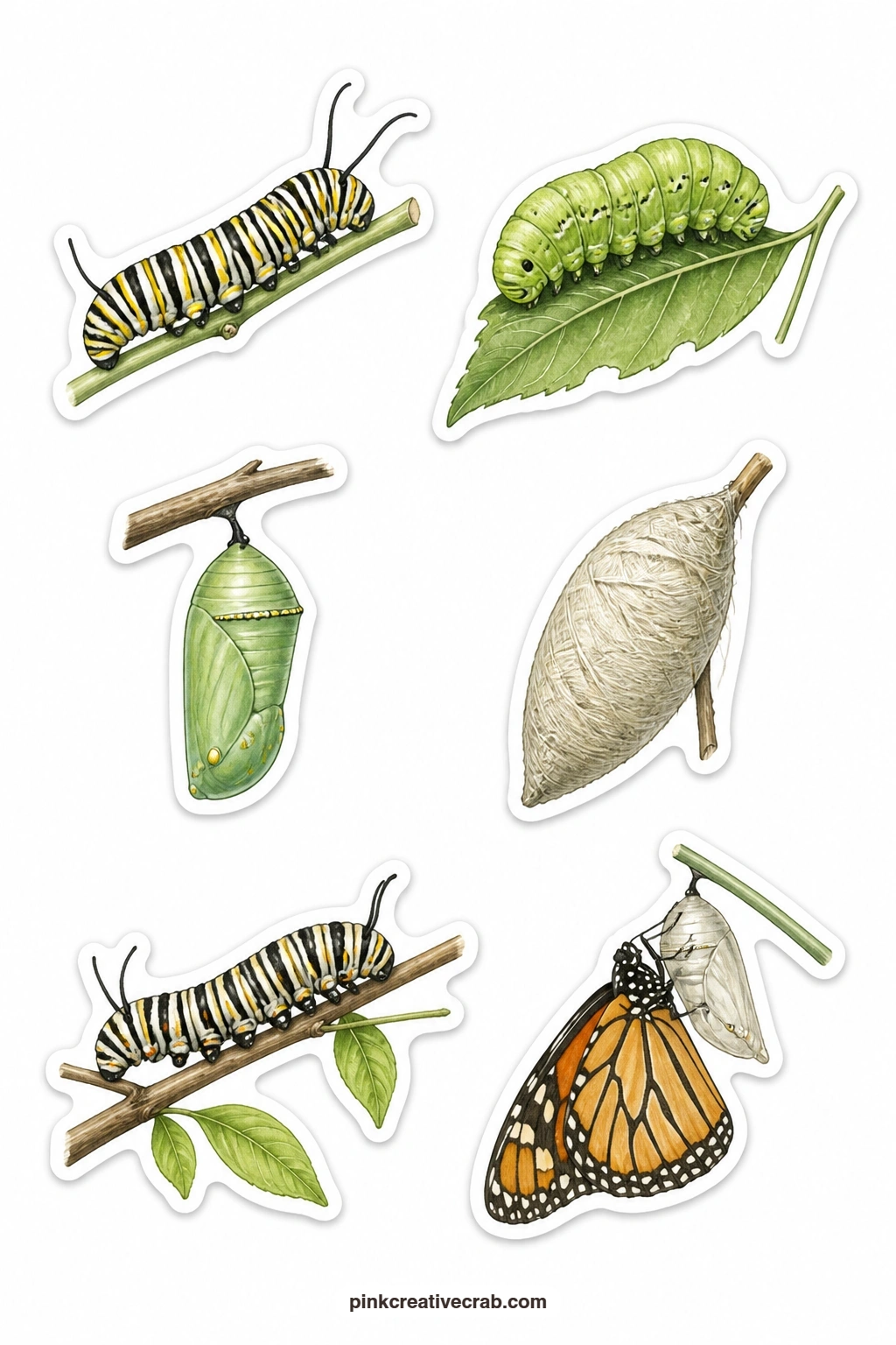 Caterpillars And Cocoons Stickers printable page — The earlier stages get their own sheet here: a striped caterpillar, a green caterpillar on a leaf, a