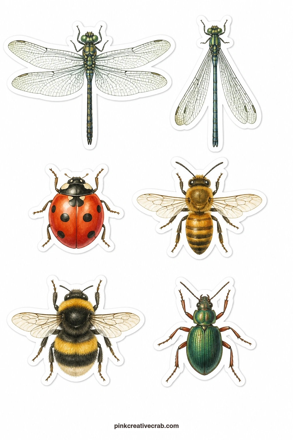 Dragonflies And Friends Stickers printable page — Not every winged creature in the garden is a butterfly, so this sheet brings in a dragonfly, a damselfly, a