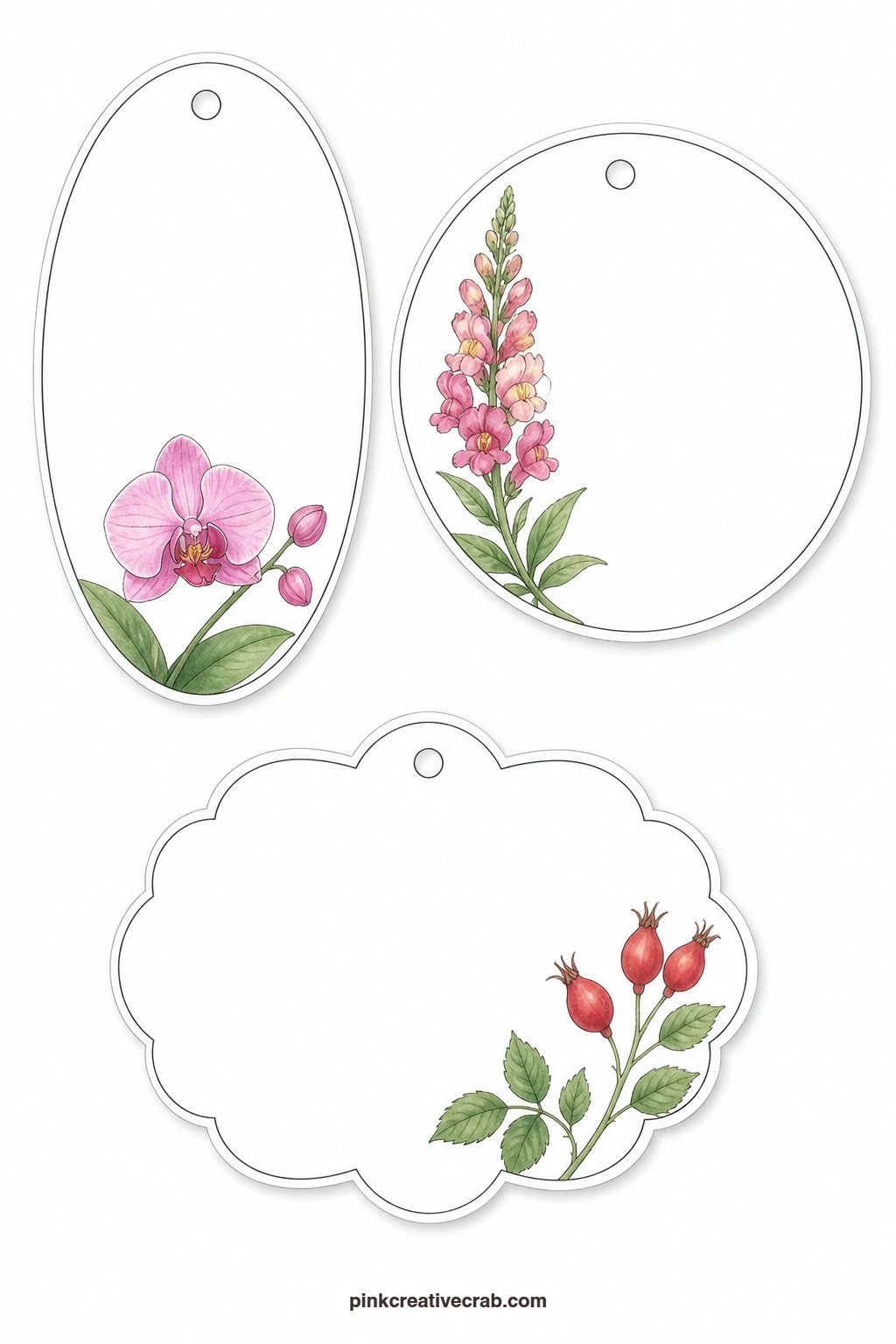 Orchid Snapdragon Rose Hip Tags printable page — This sheet turns a touch more elegant, giving you an oval tag with an orchid, a round tag with a snapdragon