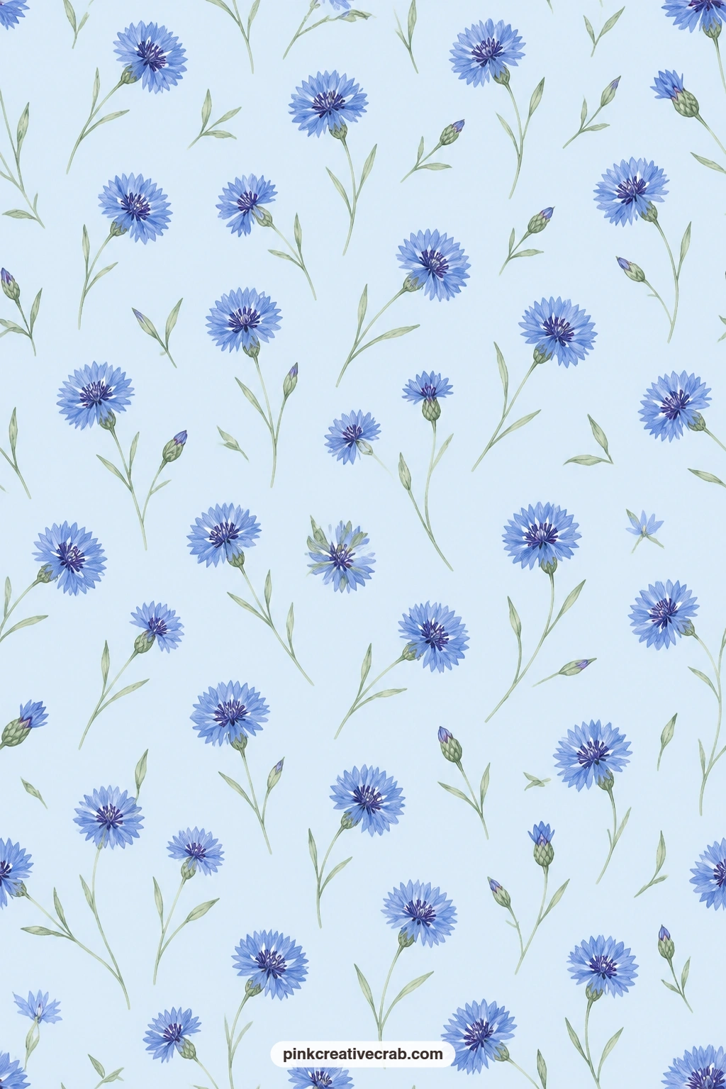 Cornflower Toss Paper printable page — Blue cornflowers toss loosely over a pale sky blue ground, a calm choice for a card mat behind a cut paper bird or
