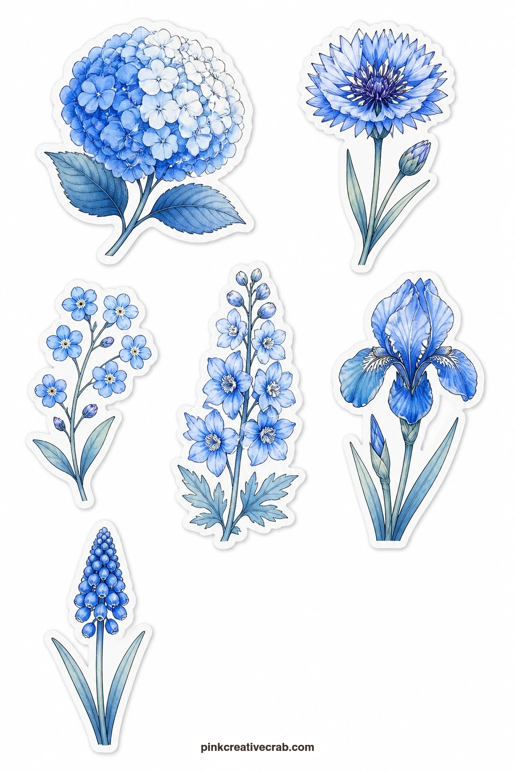 Blue Flowers Stickers printable page — A hydrangea, a cornflower, a forget-me-not, a delphinium, a blue iris and a grape hyacinth bring six different blue