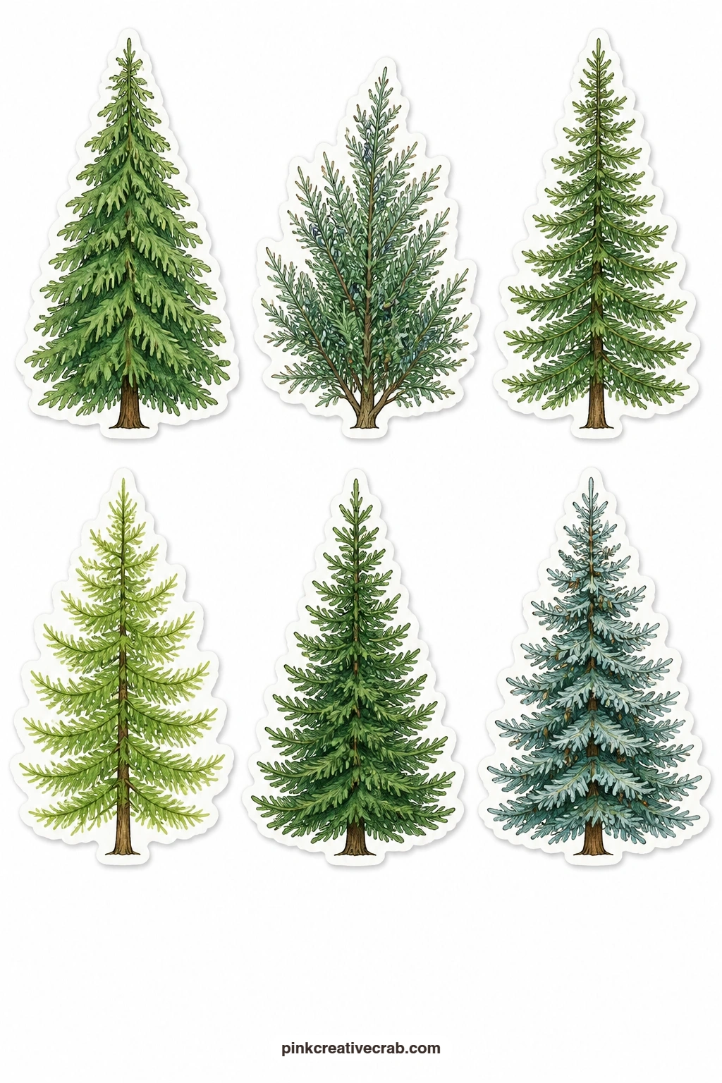 Wild Woodland Tree Stickers printable page — For a less decorated, more botanical set, this sheet holds six evergreen species on their own: a cedar, a juniper