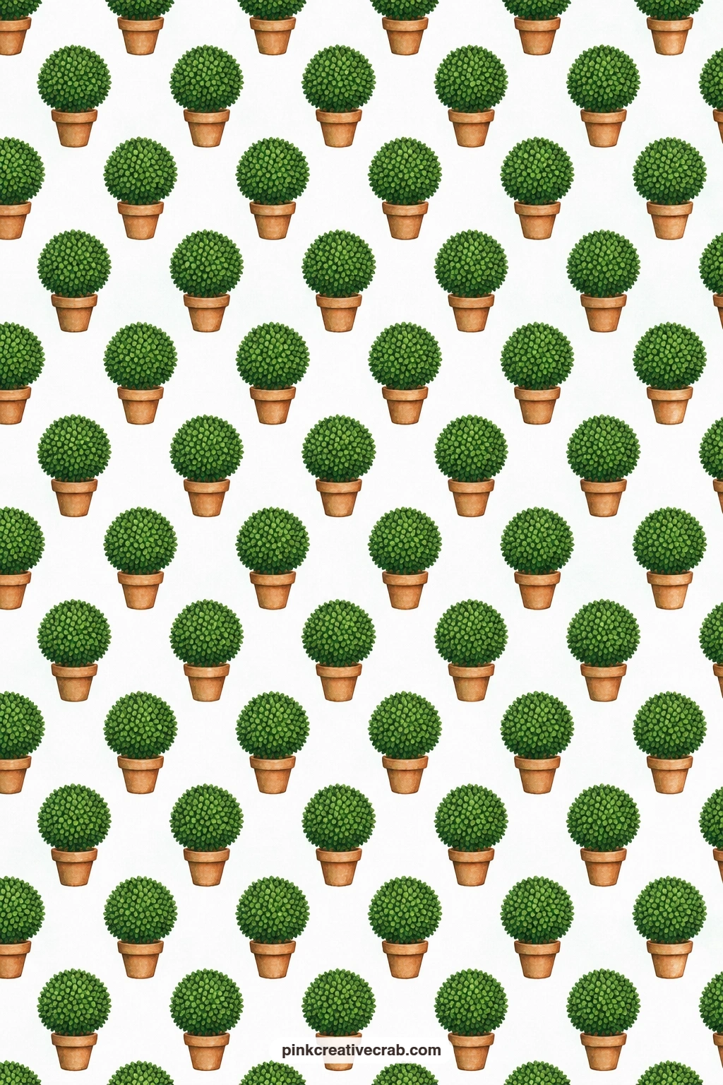 Boxwood Topiary Paper printable page — Boxwood topiaries in small pots on white give a tidy book cover for anyone collecting garden or holiday memories in one