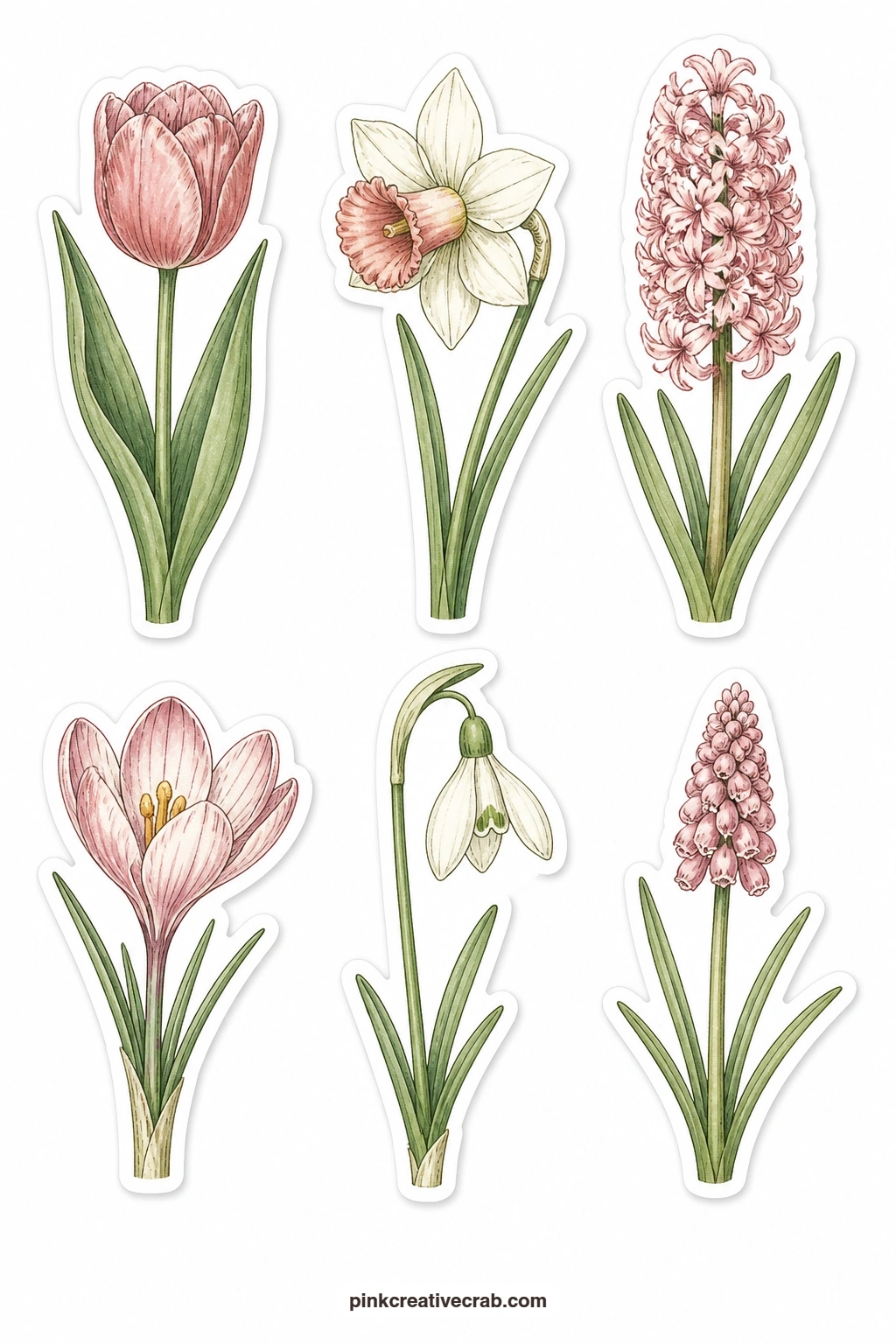 Spring Bulbs Stickers printable page — A tulip, a daffodil, a hyacinth spike, a crocus cup, a snowdrop and a grape hyacinth cluster fill this sheet with the
