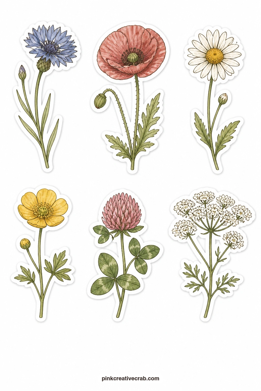 Wildflower Stickers printable page — This sheet turns to the meadow for a cornflower, a poppy, a field daisy, a buttercup, a sprig of red clover and a cow