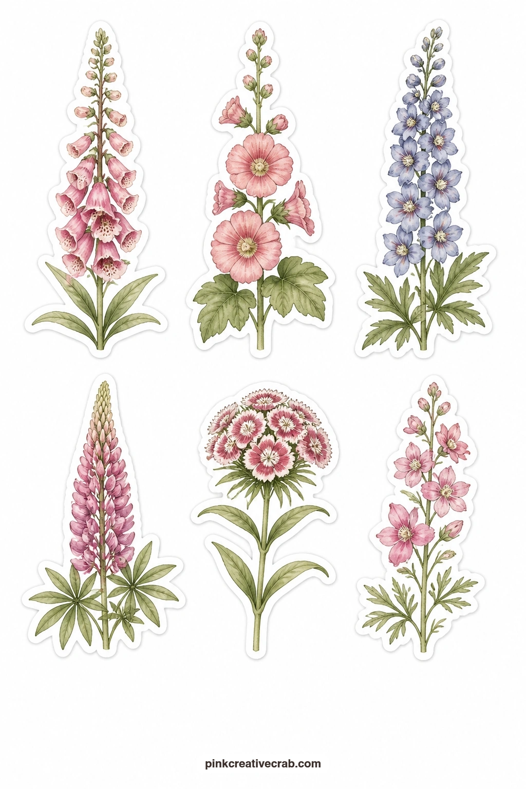 Cottage Garden Stickers printable page — Tall cottage border flowers stand together here: a foxglove spike, a hollyhock, a delphinium, a lupine, a sweet