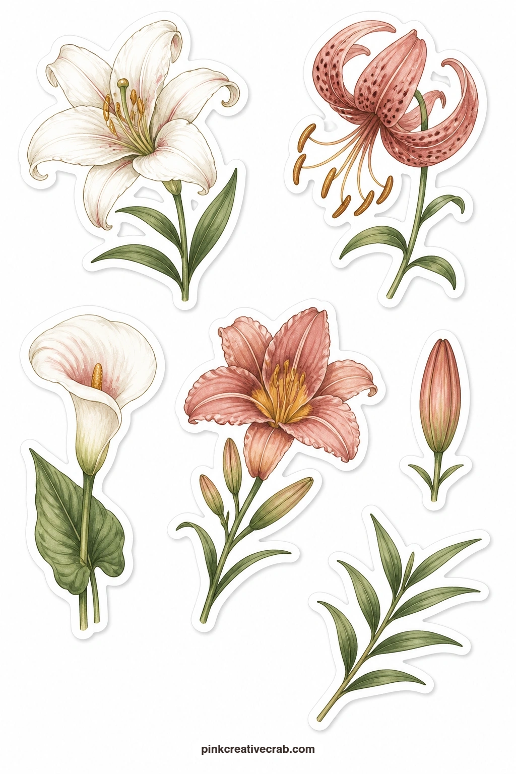 Lily Stickers printable page — Six lilies in different forms share this sheet: a madonna lily, a tiger lily, a calla lily, a daylily, a closed lily bud and a