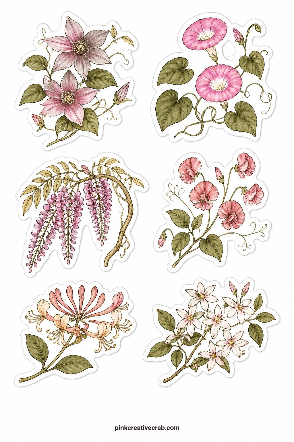 Climbing Vines Stickers printable page — A clematis, a morning glory, a wisteria cluster, a sweet pea vine, a honeysuckle sprig and a jasmine sprig trail