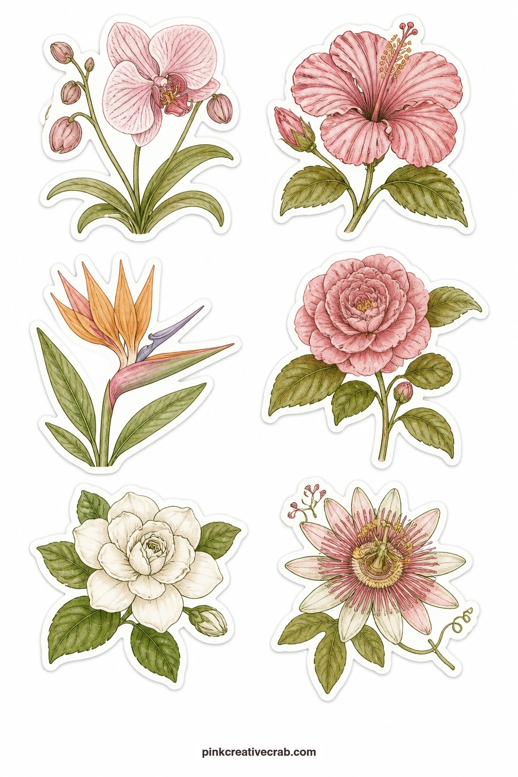 Orchids And Rare Blooms Stickers printable page — For something less common than a cottage garden offers, this sheet holds an orchid, a hibiscus, a bird of