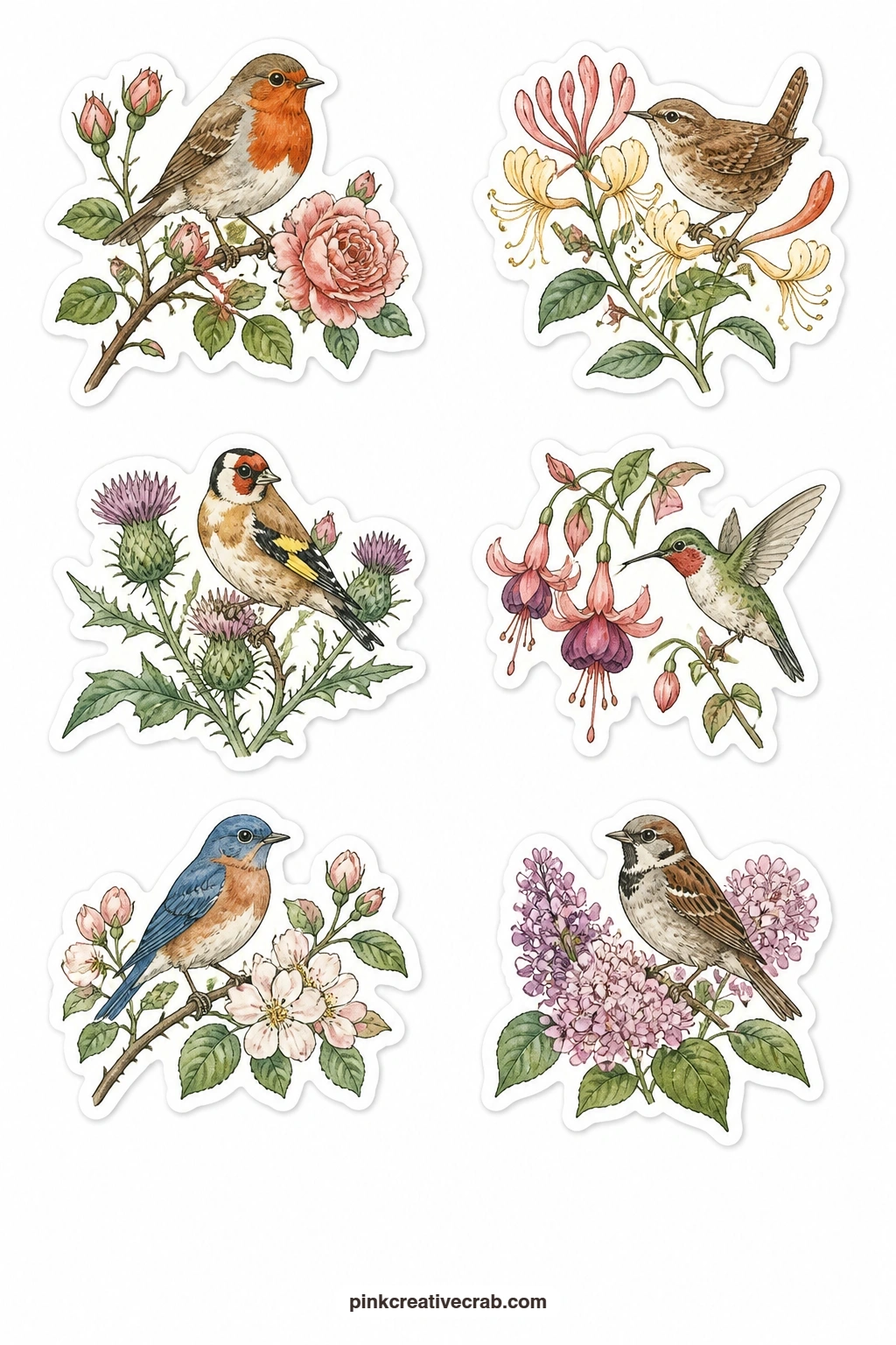 Flowers With Birds Stickers printable page — Six small scenes pair a bird with a bloom: a robin on a rose branch, a wren in honeysuckle, a goldfinch on a
