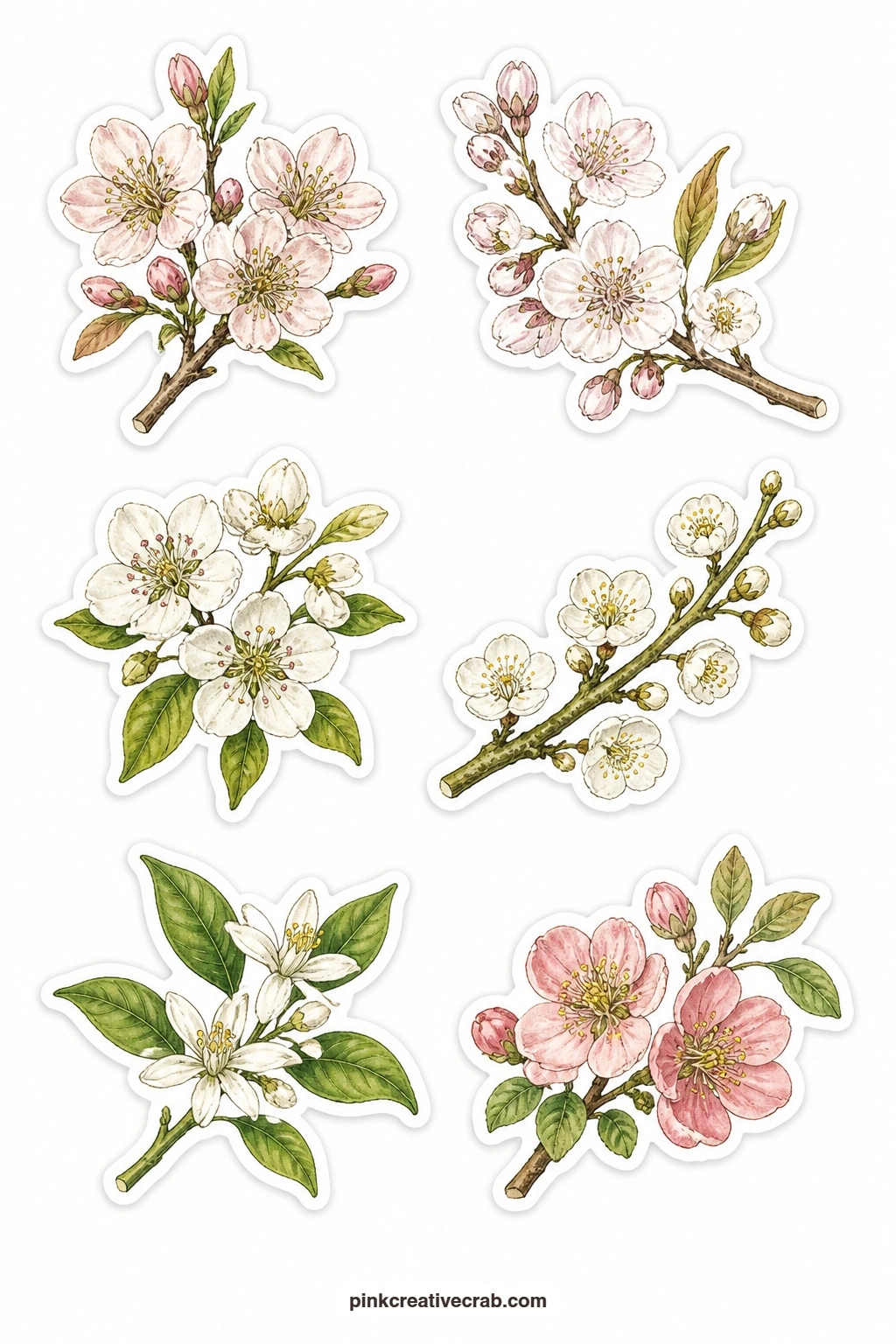 Fruit Blossom Stickers printable page — Light spring blossom covers this sheet with an almond blossom, a cherry blossom, a pear blossom, a plum blossom, an