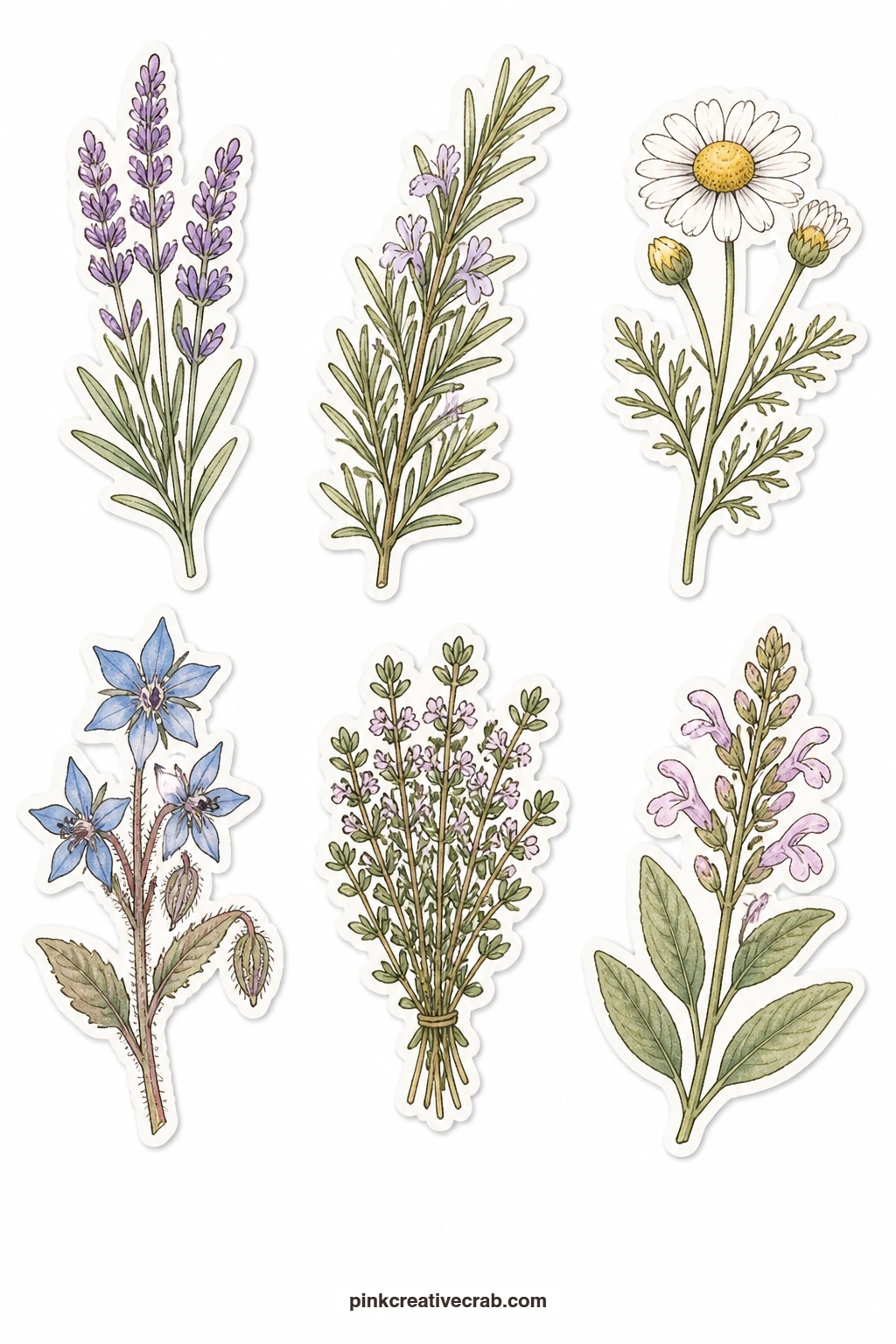 Herbs In Flower Stickers printable page — Give the sheet a quieter, greener feel with a lavender sprig, a rosemary sprig, a chamomile flower, a borage flower