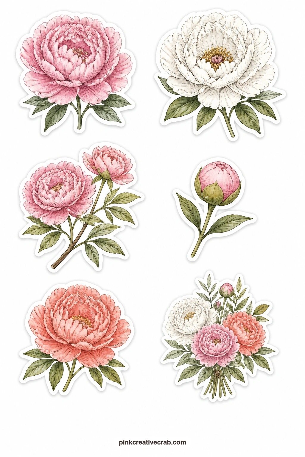 Peony Stickers printable page — A pink peony, a white peony, a coral peony, a peony bud, a tree peony branch and a small peony bouquet give this sheet six