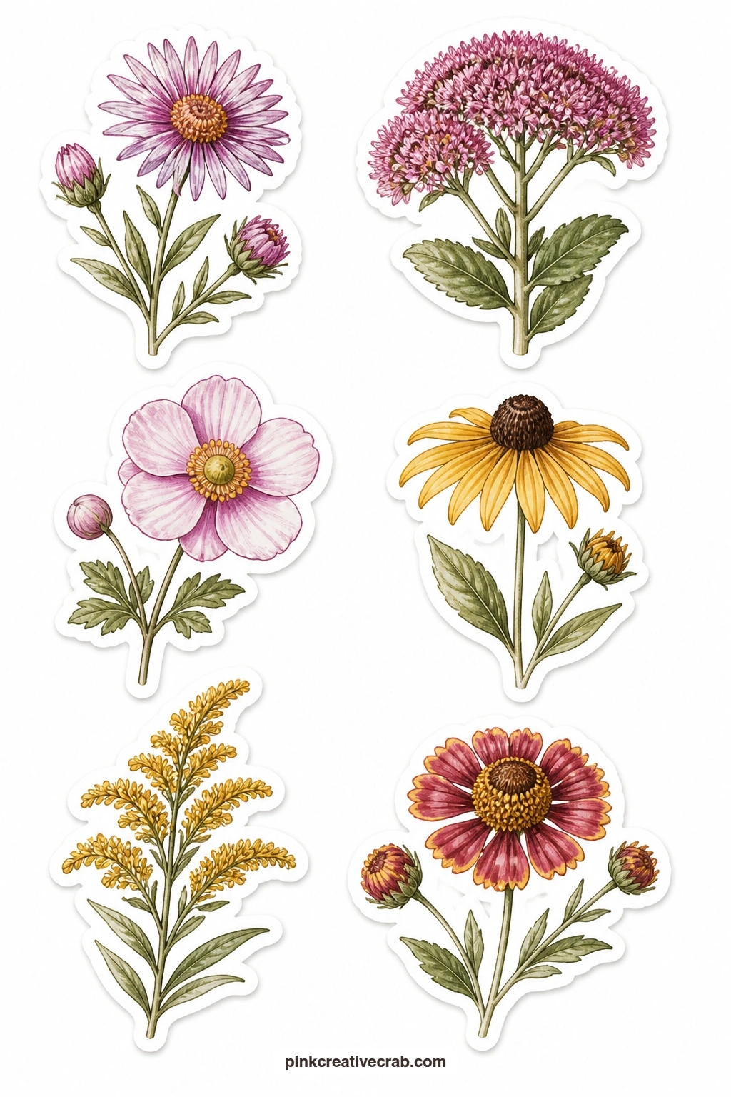Late Summer Flowers Stickers printable page — An aster, a sedum, a Japanese anemone, a rudbeckia, a goldenrod spray and a helenium close out the garden year on