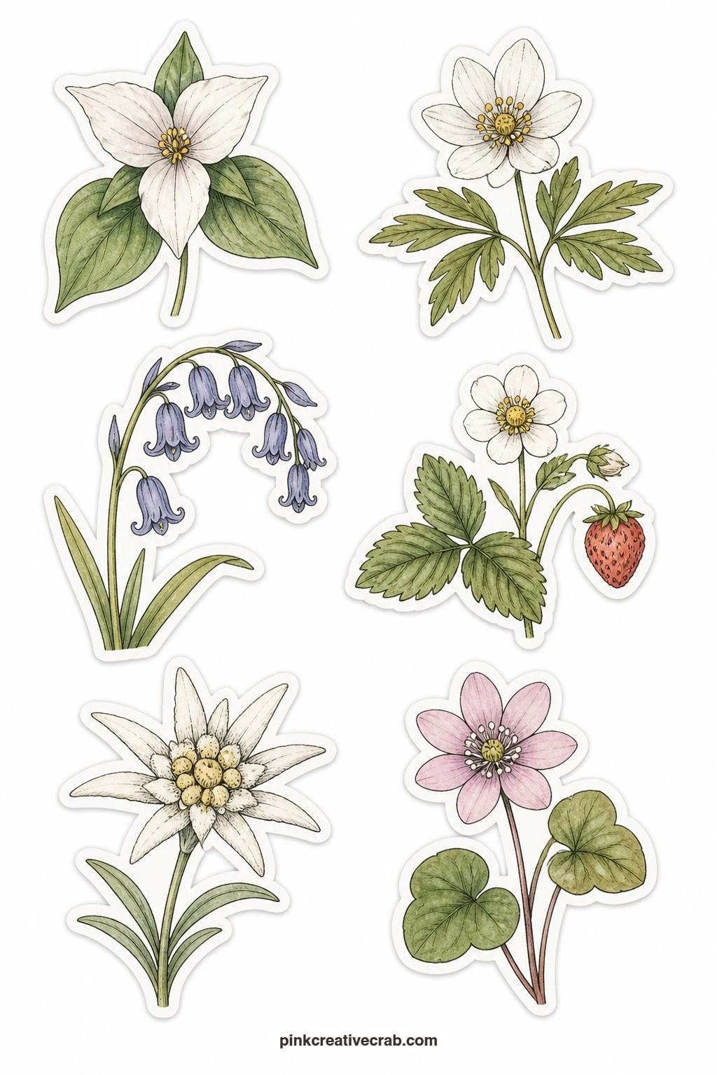 Woodland Flowers Stickers printable page — A trillium, a wood anemone, a bluebell, a wild strawberry flower, an edelweiss and a hepatica bring six shade-loving