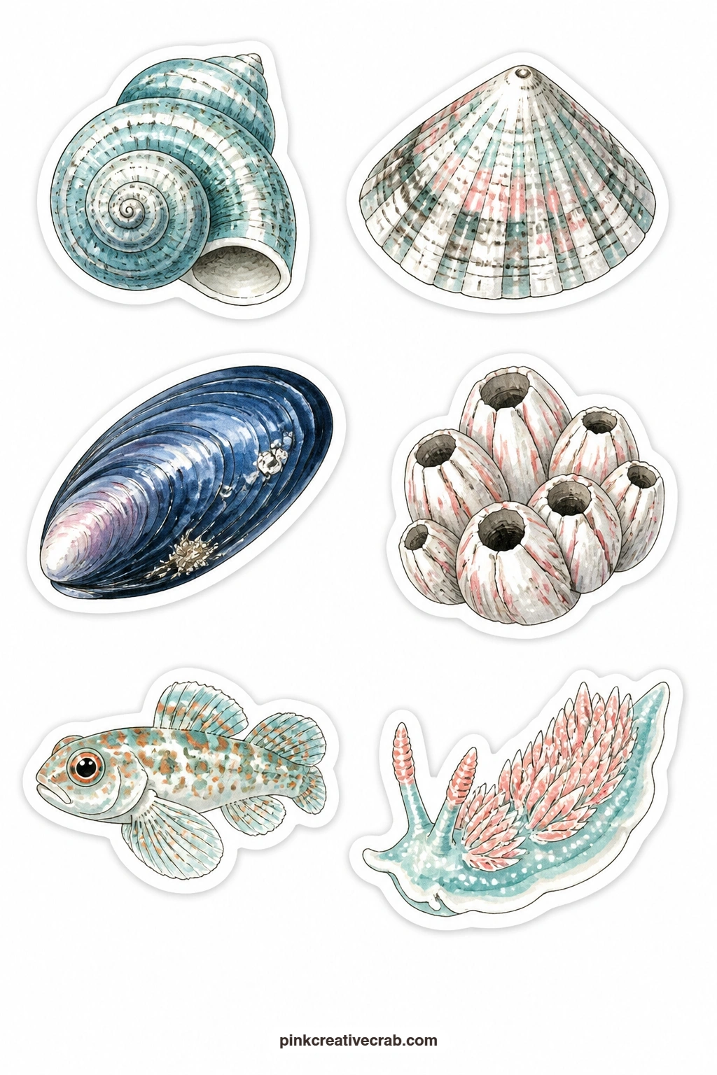Tide Pool Stickers printable page — A periwinkle, a limpet, a mussel, a barnacle cluster, a goby and a sea slug make up this small, quiet sheet, suited to the