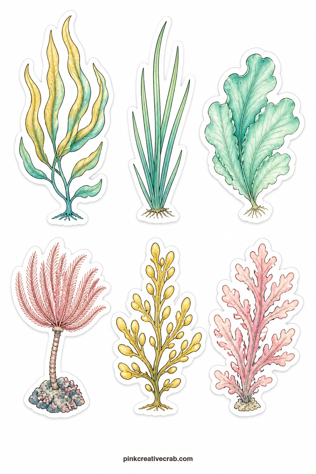 Sea Plant Stickers printable page — Kelp, seagrass, sea lettuce, a sea lily, a bladder wrack and a coralline alga round out the underwater scenery, useful for