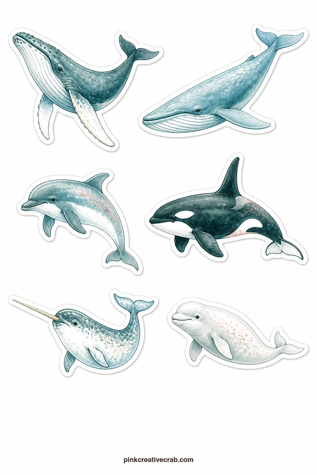 Whale and Dolphin Stickers printable page — Six large swimmers share this sheet: a humpback whale, a blue whale, a dolphin, an orca, a narwhal and a beluga
