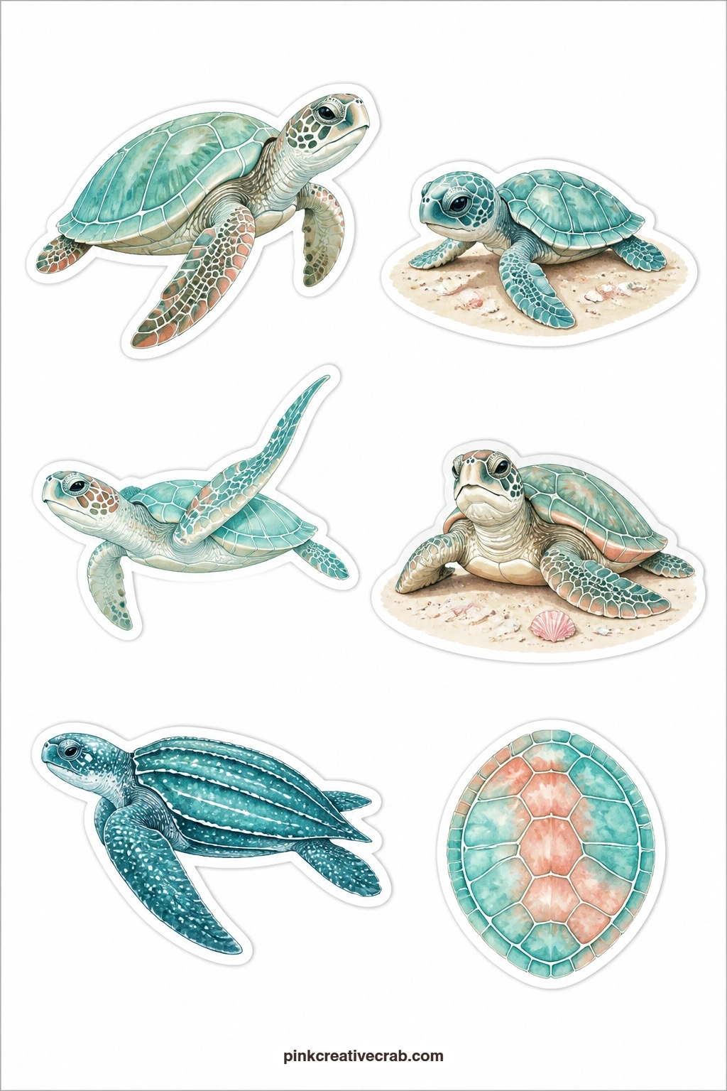 Sea Turtle Stickers printable page — A sea turtle, a hatchling, a turtle swimming, a turtle on sand, a leatherback and a turtle shell cover the full life of a