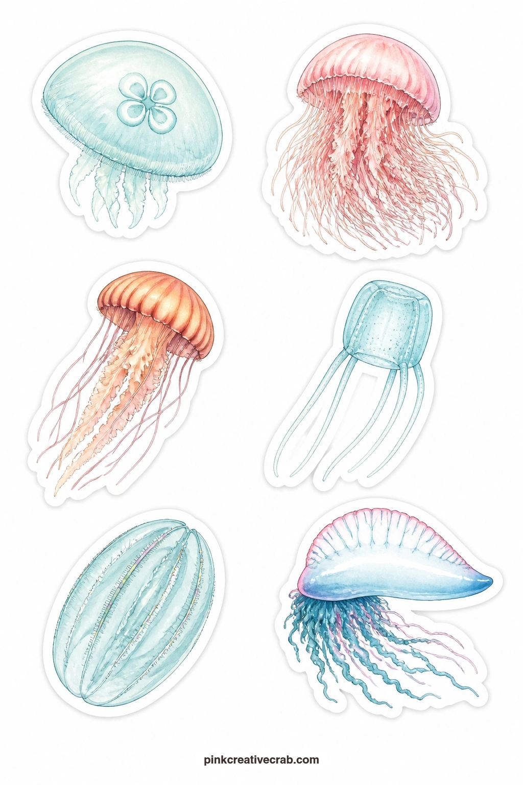 Jellyfish Stickers printable page — A moon jelly, a lion's mane jelly, a sea nettle, a box jelly, a comb jelly and a man o' war drift across this sheet, their