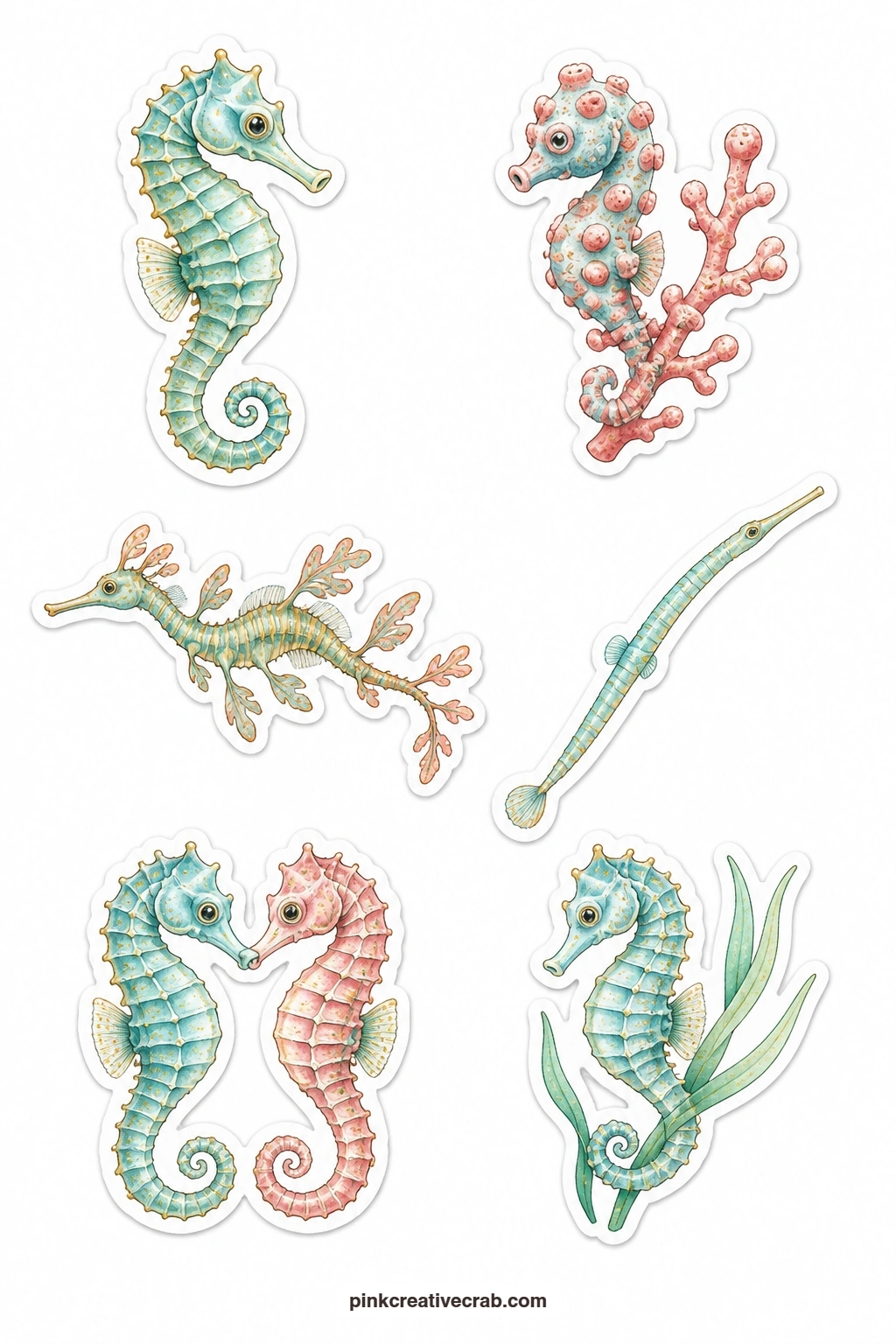 Seahorse Stickers printable page — A seahorse, a pygmy seahorse, a sea dragon, a pipefish, a seahorse pair and a seahorse on seagrass fill this delicate sheet