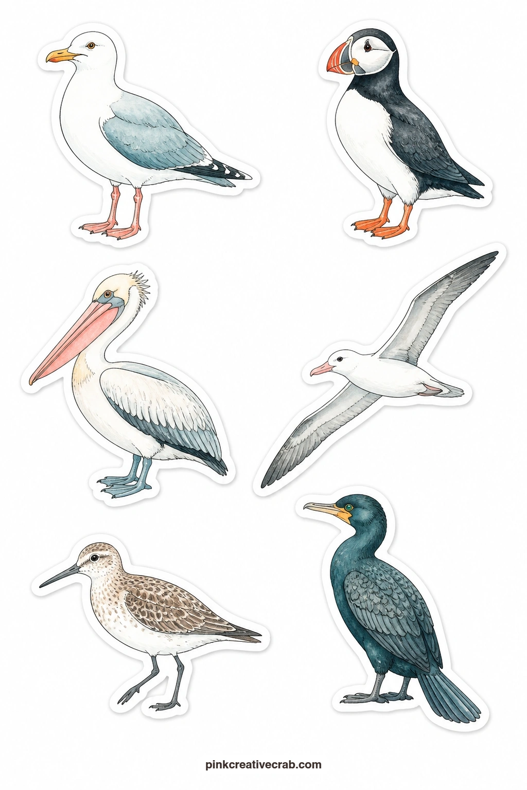 Seabird Stickers printable page — A seagull, a puffin, a pelican, an albatross, a sandpiper and a cormorant fly and wade across this sheet, a good match for