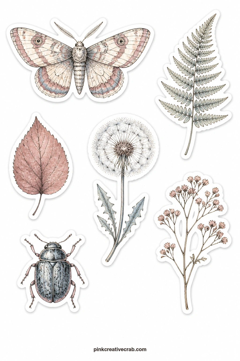 Moths and Botanicals Stickers printable page — A moth, a fern frond, a pressed leaf, a dandelion seed head, a beetle and a dried flower sprig make up this
